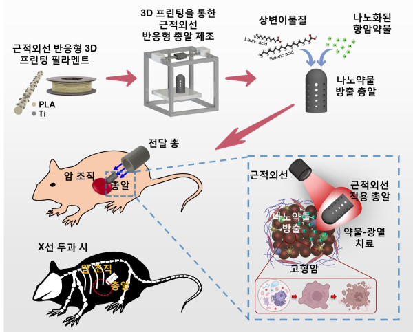 근적외선(NIR) 유발 약물-광열 치료를 위한 3D 프린팅 나노약물 방출 총알의 개요도