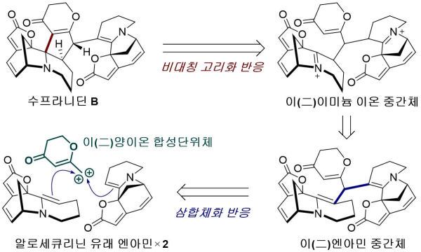 수프라니딘 B의 합성 전략