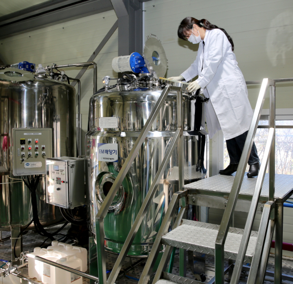 태안군농업기술센터에서 미생물을 배양하는 모습.