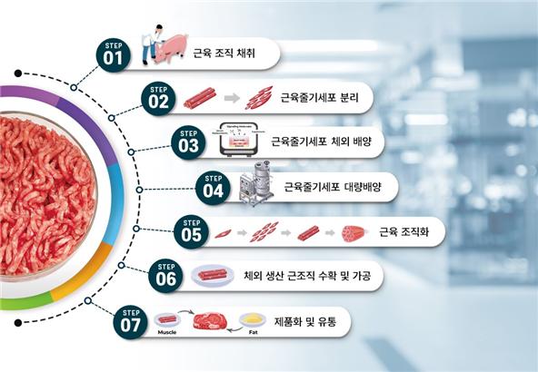 배양육 생산 모식도