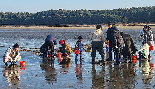 지난 12월 11~15일 태안군 남면 일원에서 진행된 ‘태안으로 어케이션(漁케이션)’ 프로그램 모습.