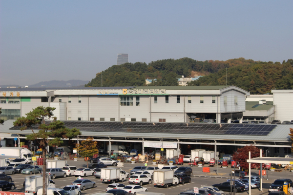 농협 대전공판장 전경
