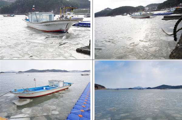 꽁꽁 얼어붙은 가로림만