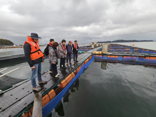 저수온 점검 모습