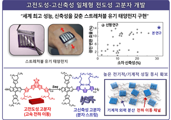신규 개발된 전도성 고분자의 화학 구조 및 해당 소재가 사용된 스트레처블 유기 태양전지의 성능