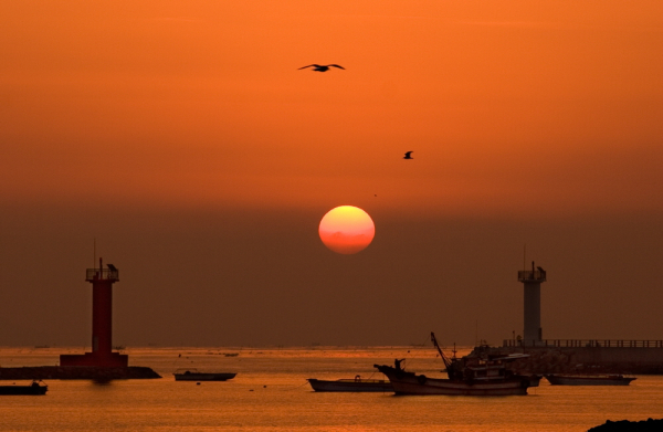 마량진항 일몰 사진