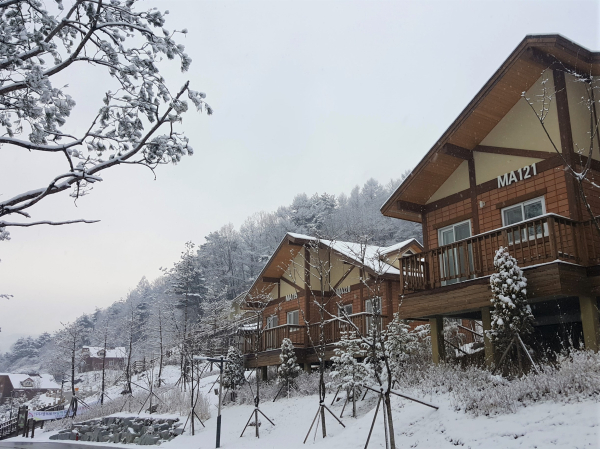 지난 12월 20일 국립산림치유원의 숙소와 주변에 눈이 내려 절경을 이루고 있다.