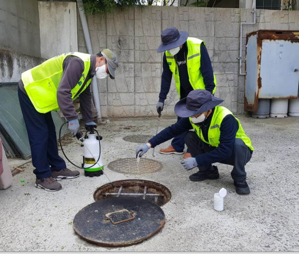 중구 보건소에서 진행한 월동 모기 특별방역 모습