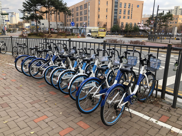 세종시 공영자전거 어울링