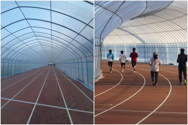 동계비닐터널 설치 및 이용 사진