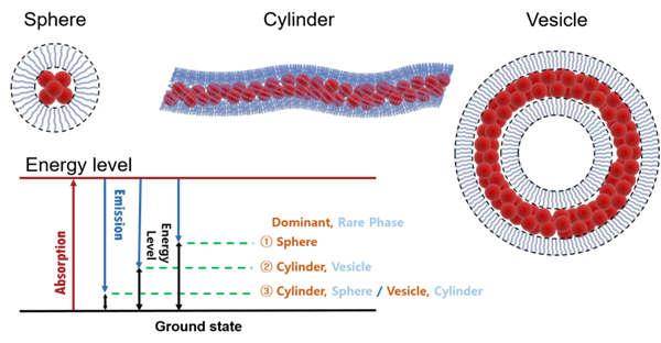 복합구조 물질의 구조체 형태별 에너지 시각화 반응 1. 내부 공간이 있는 구형(Vesicle) 2. 원통형(Cylinder) 3. 구형(Sphere)