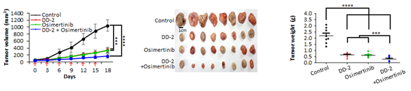 약물 투여후 비소세포페암의 크기