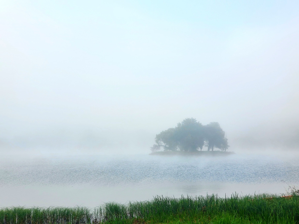 제천 의림지 모습