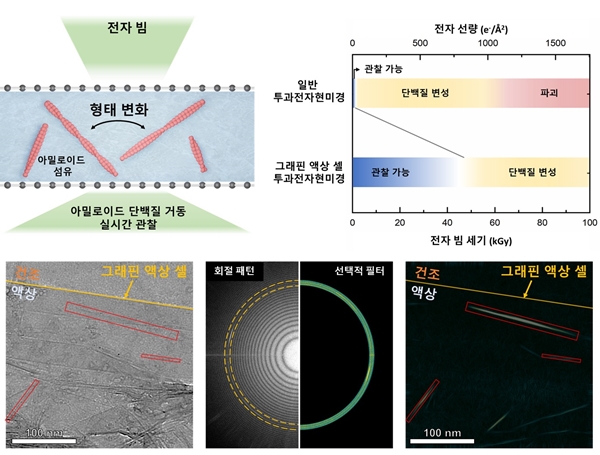 단분자 그래핀 액상 셀 전자현미경 모식도 및 성능