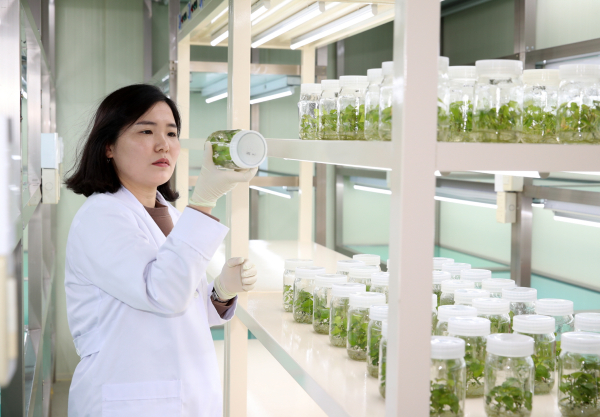 농업기술센터 조직배양실 모습.