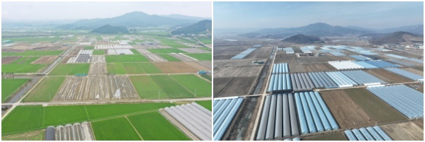 청남면 수해복구 현장 전, 후 모습