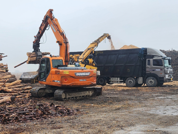 파쇄기를 이용한 나무 파쇄 모습(2024. 1. 17.).