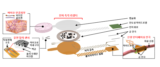 인체 이식형 촉각 기능 스마트 바이오닉 인공피부 구성 요소