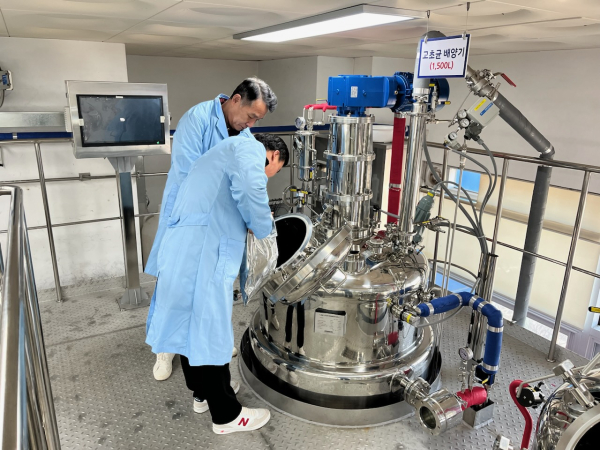 미생물 배양사진