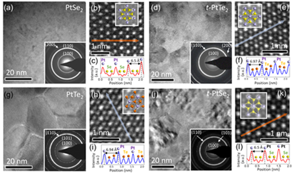 투과전자현미경 관찰 이미지