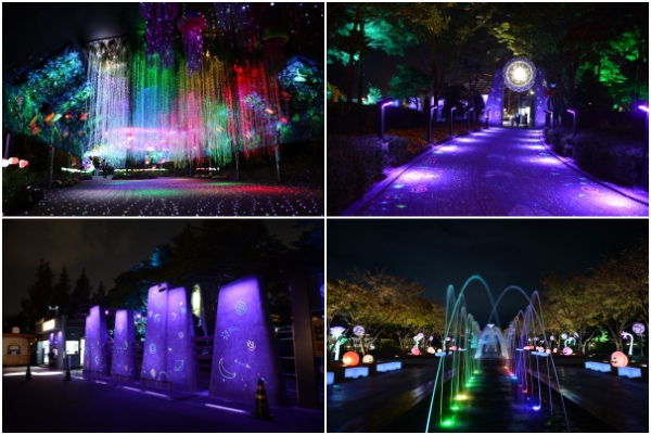 대전오월드 나이트 유니버스 운영 모습