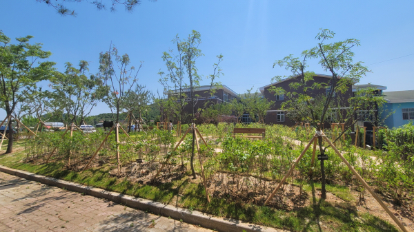 은산중 학교숲 조성