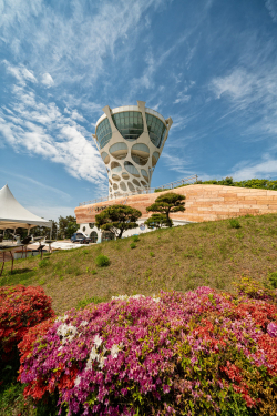 서산버드랜드사업소에 봄꽃이 피어있다.