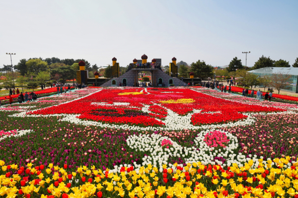 지난해 튤립꽃 박람회 모습.