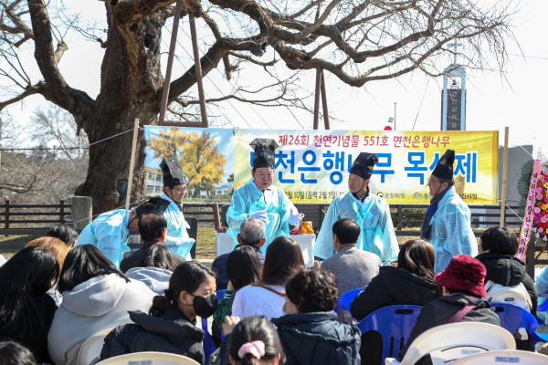 2024년 면천은행나무 목신제 개최 모습