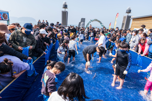 무창포 주꾸미 도다리 축제 사진(작년)