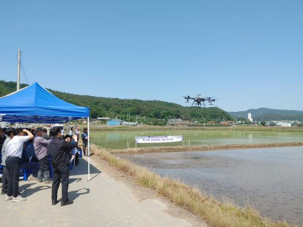 청양지역 벼 직파재배 면적 해마다 증가