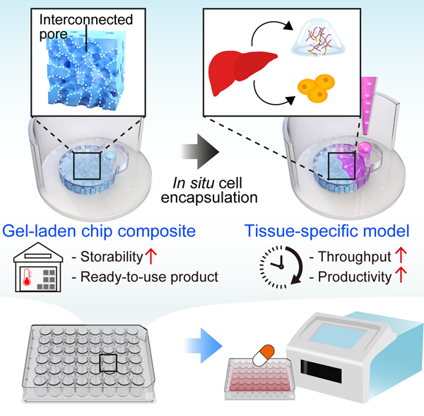 복합 생체재료칩 대량 유통계기 마련 및 활용가능성을 보여주는 모식도