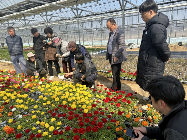 봄꽃 재배 교육
