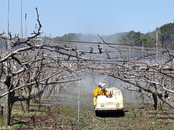 화상병 방제 작업