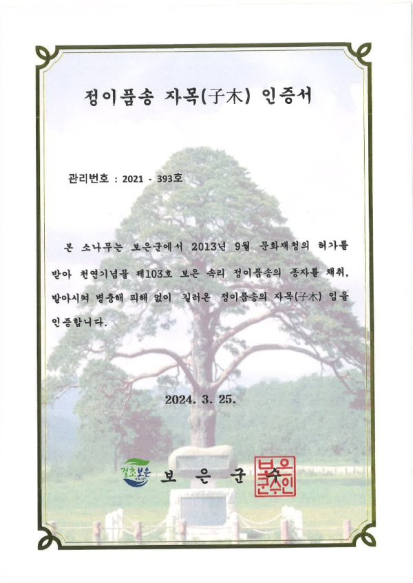 정이품송자목인증서(3.25.)