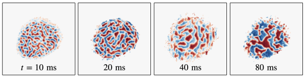 그림 1. 자기 영역(Magnetic Domain)들의 조대화 동역학. 붉은색/파란색은 스핀 업/다운을 지칭하며, 시간이 지남에 따라 영역들의 크기가 점점 커지는 것을 볼 수 있다.