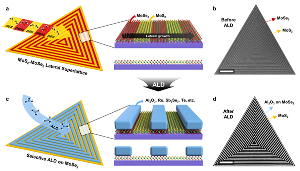이차원 반도체 기반 선택 증착 기술의 모식도