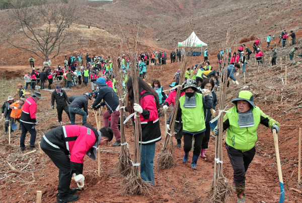 제79회 식목일 나무 심기 행사