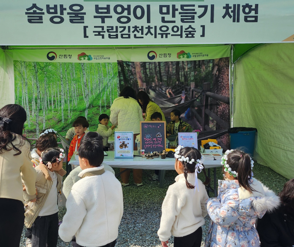 '솔방울 부엉이 만들기' 체험 프로그램 진행 모습