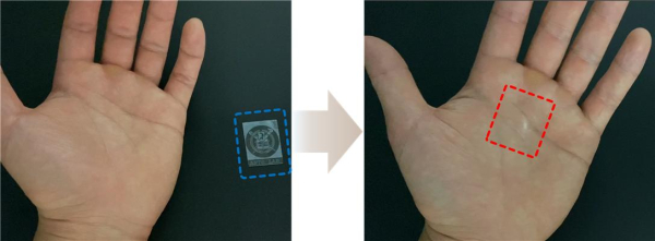 정보 패턴 암호화 및 차세대 ID 카드의 활용