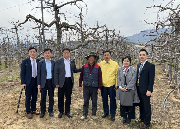 경북 포항시 사과 재배 농가 방문사진 * 한국농수산식품유통공사 김춘진 사장(우측 3번째)
