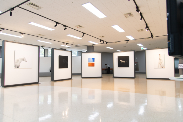 충남대 도서관, Fly Up 두번째 전시회 개최