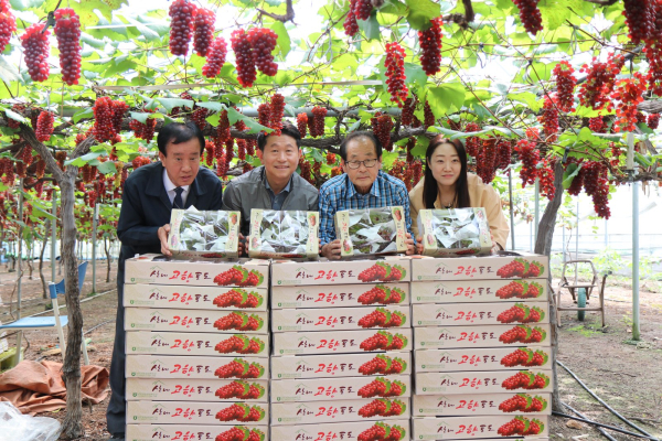 왼쪽부터, 산내농협 송경영조합장, 농협중앙회 대전본부 김영훈본부장,  송석범님(농가주,송일구씨 부친)