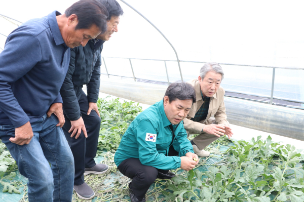 수박농가 방문한 박정현 군수