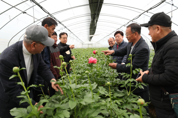 지난달 28일 금산군 농업기술센터 농업인상담소 소장들이 남이면 절화 작약 재배농가를 방문해 현장지도를 하고 있다.