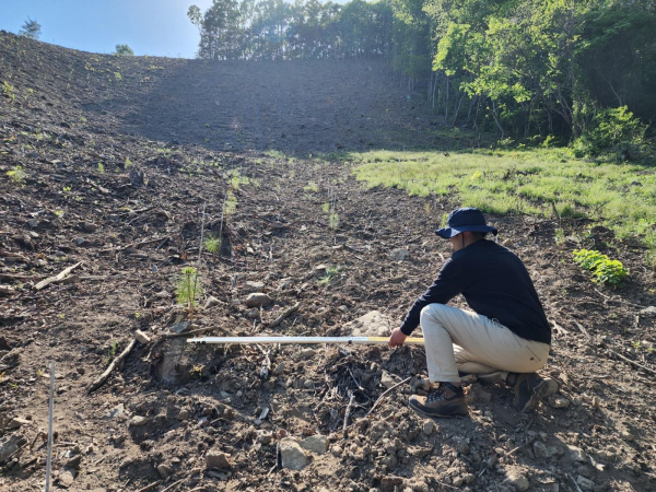 2024년 봄철 조림사업 본격 추진