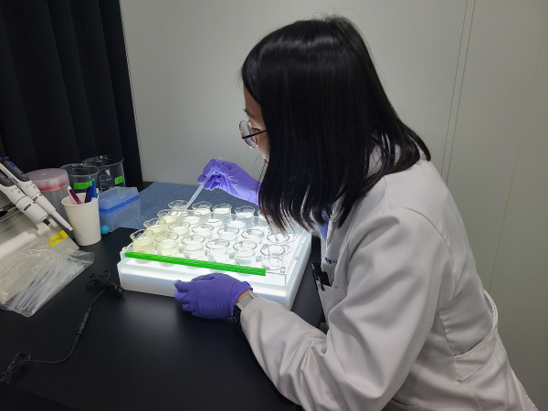 세종시보건환경연 생태독성검사 모습