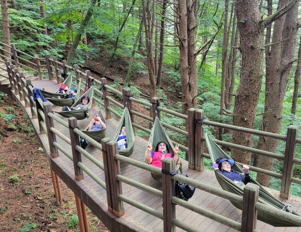 지난해 여름 국립김천치유의숲 잣나무숲에서 참가자들이 해먹 명상(쉼) 산림치유 프로그램을 체험하고 있다.