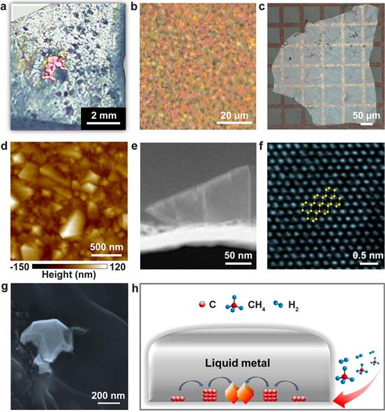 1기압 하에서 액체 금속 합금에서 다이아몬드의 성장.