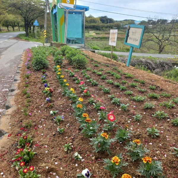 OK보령 깨끗한 마을 가꾸기 모습